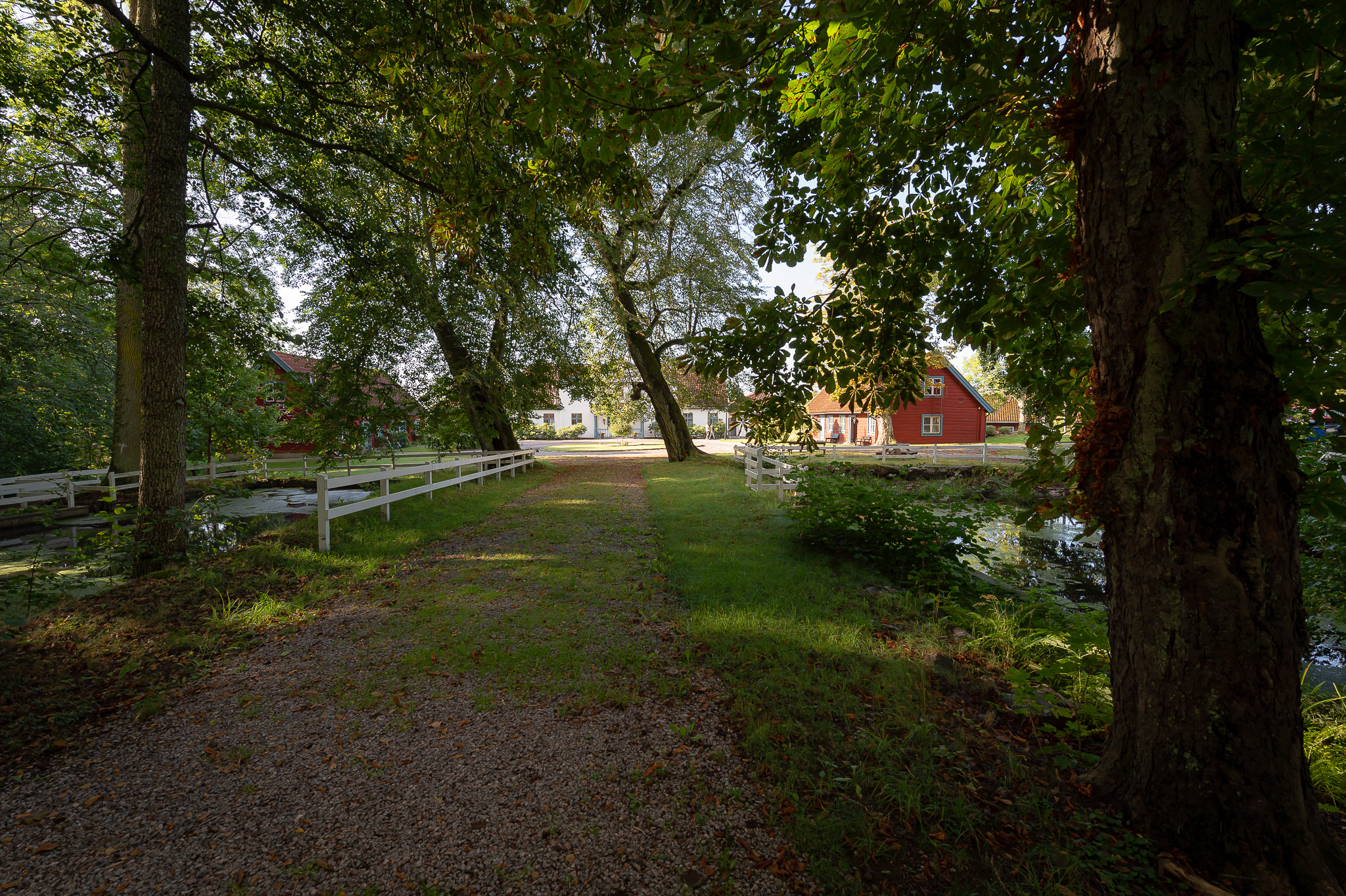190902_valbo_sensommar-52
